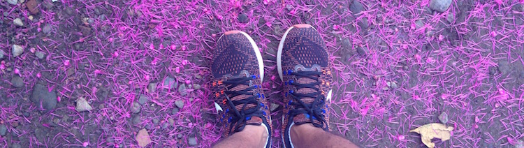 Absen Seminggu untuk Borobudur Marathon